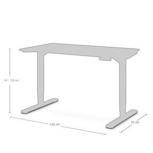 Assmann Elektrisch Höhenverstellbarer Schreibtisch Y-LINE Colour Edition Allgemein ADBUN100-g